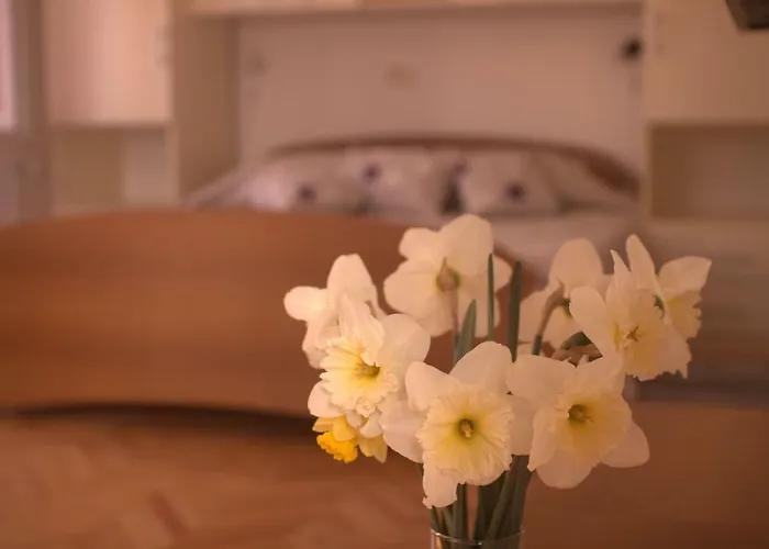 Apartman Katarina Porat *