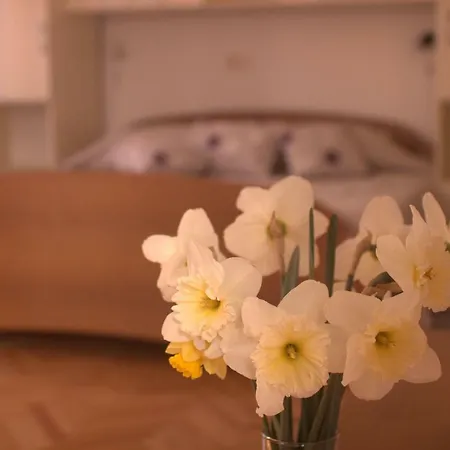 Apartment Katarina Porat *